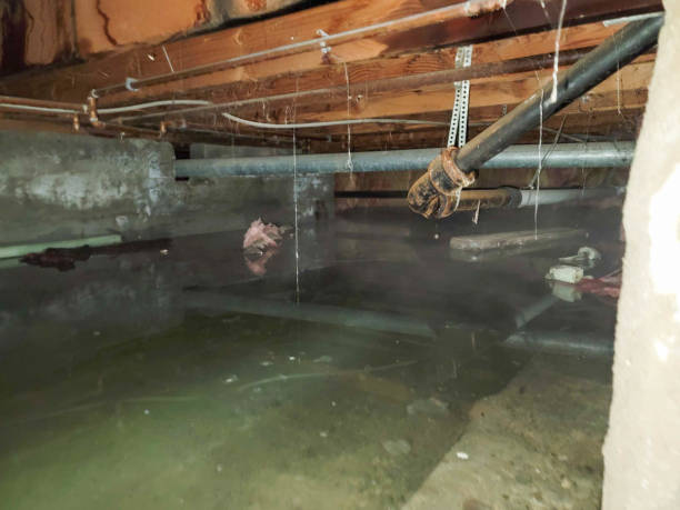 Best 24/7 water damage repair  in Victorville, CA