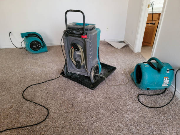 Best Mold removal after water damage  in Victorville, CA