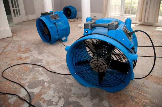 Water damage restoration mold remediation in CA