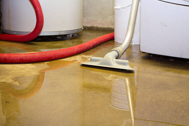 Best Professional water damage repair  in Victorville, CA