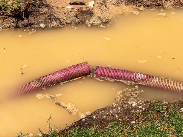  Victorville, CA Water damage restoration Pros