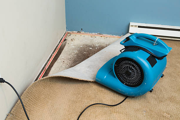 Best Flooded house restoration  in Victorville, CA
